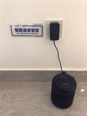 云筑未来，智慧人生 智能语音设备的变革与探索